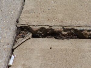Sidewalk trip hazard 
