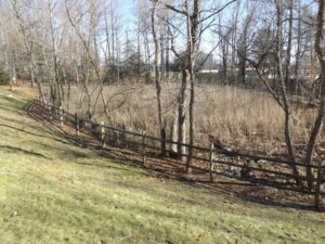 Stormwater - Overgrown wet pond