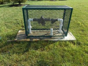 All exterior plumbing must be drained to prevent freezing